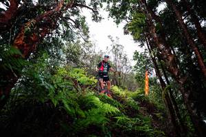 BIB: 
                            <button type="button" onclick="openModal(26204924)" class="btn btn-primary btn-sm float-right btn-popup" data-toggle="modal" data-target=".modal-high-quality">
                        <i class="fas fa-shopping-cart"></i> Add to Cart
                    </button>
                                            <button type="button" onclick="isThisMe(26204924, true)" class="btn btn-success btn-sm float-right btn-popup btn-isme hidden" data-toggle="tooltip" data-placement="bottom" title="นี่คือรูปของคุณใช่ไหม คลิกที่นี่เพื่อเอาเข้าอัลบั้ม">
                        <i class="fas fa-plus"></i> Add to album
                    </button>
                    <button type="button" onclick="isThisMe(26204924, false)" class="btn btn-warning btn-sm float-right btn-popup btn-isnotme hidden">
                        <i class="fas fa-ban"></i> Remove from album
                    </button>